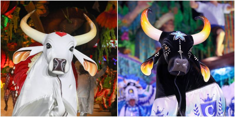 ‘Ensaio dos Bumbás’ ganha calendário oficial em Manaus; veja programação