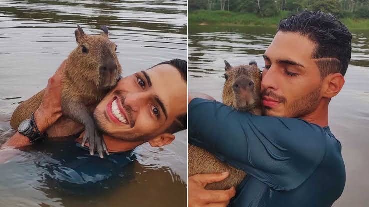 Avô de influencer da capivara filó está entre maiores desmatadores da Amazônia