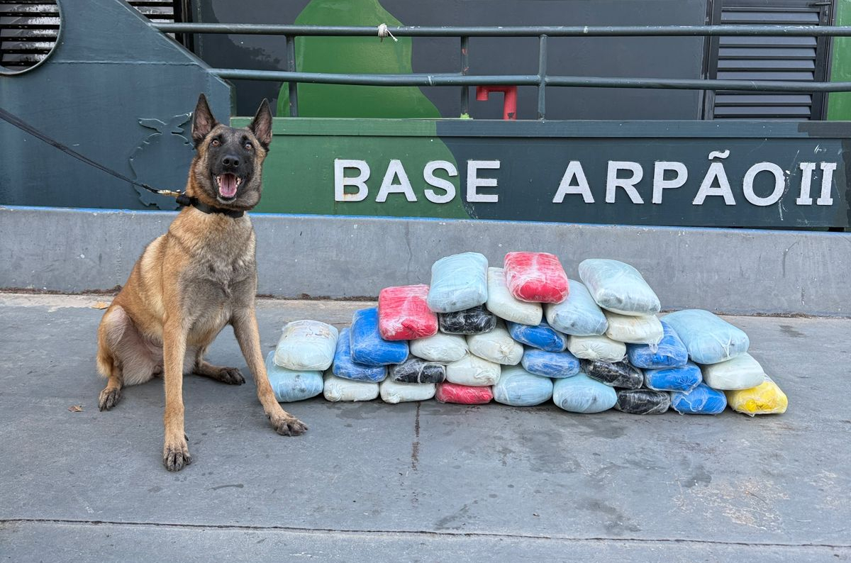 Drogas avaliadas em R$ 800 mil são apreendidas em embarcação no AM