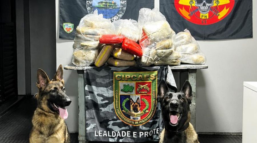 Mais de 91 kg de drogas são apreendidos em porão de barco no rio Solimões