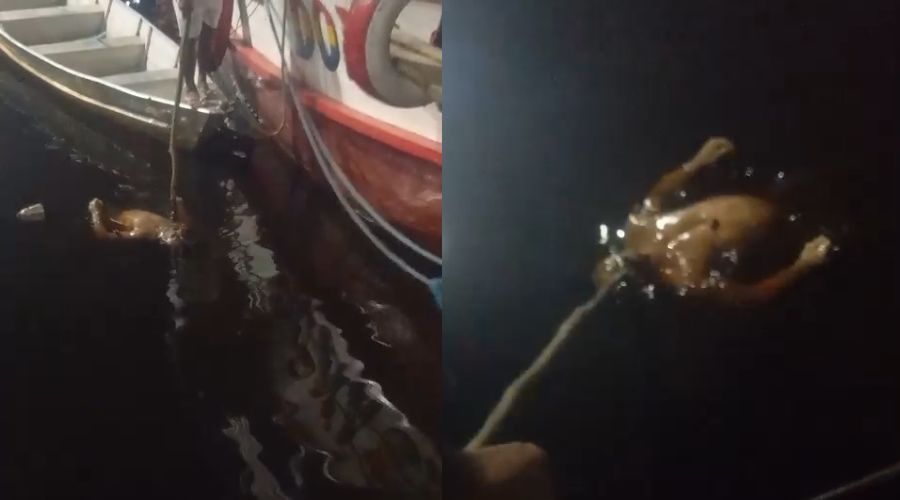 Imagens fortes: Homem morre afogado e corpo é encontrado na Manaus Moderna