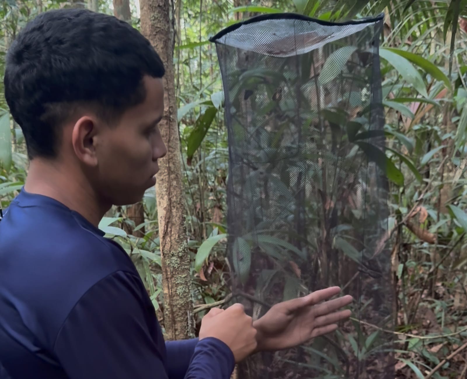 Governo do AM monitora biodiversidade em Unidades de Conservação da BR-319