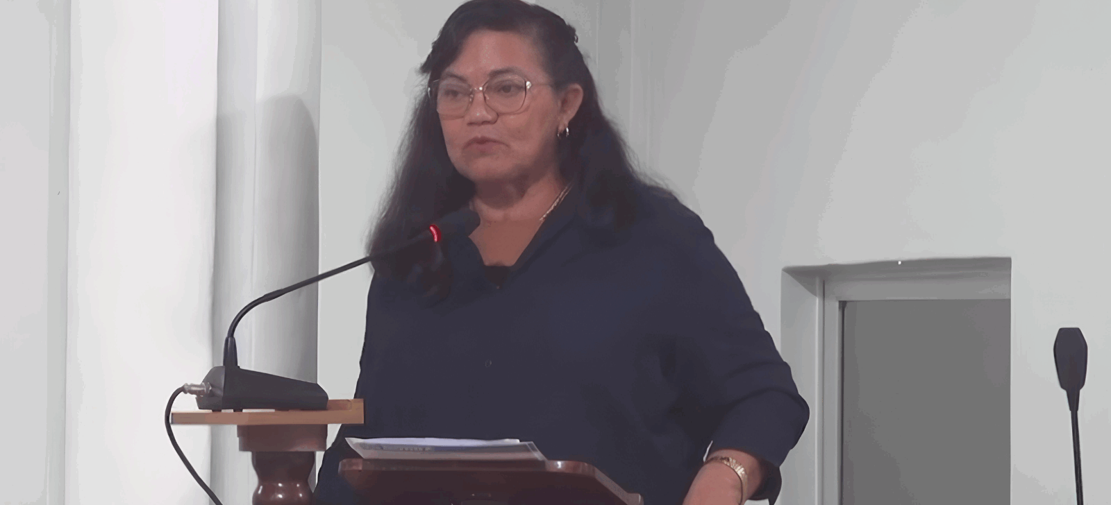 Vídeo: "Tem mulher que merece apanhar mesmo", defende vereadora de Borba