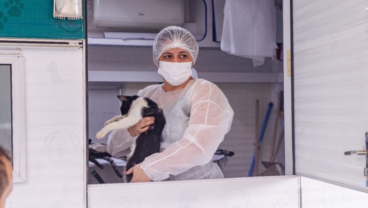 Conjunto Viver Melhor terá ação de castração de animais