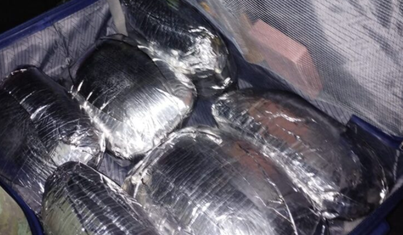 'Mula do tráfico': Mulher é presa com cocaína junto com pó de café em Manaus