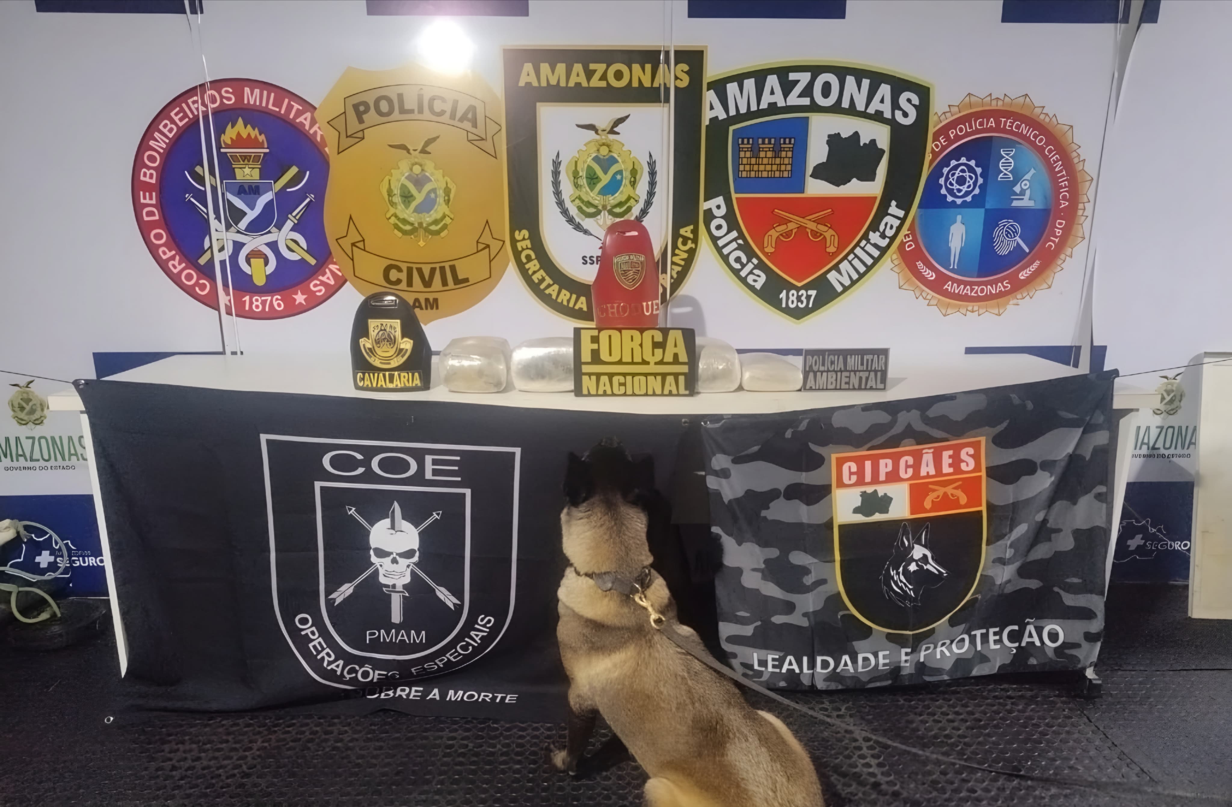 PMAM apreende entorpecentes escondidos em saca de farinha