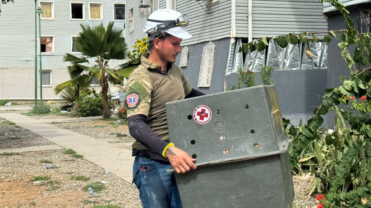 Voluntários do AM resgatam 16 gatos de conjunto habitacional destruído por terremoto na Venezuela