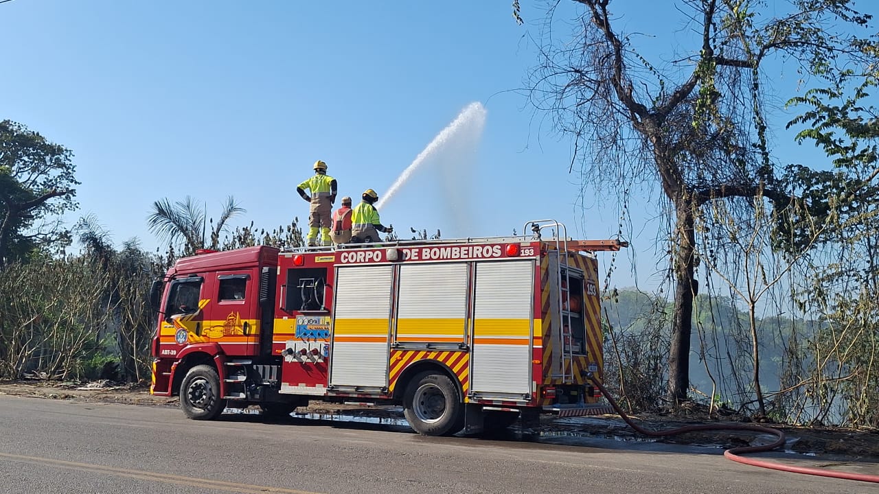 Vídeo: incêndio volta a atingir área de vegetação no Distrito Industrial