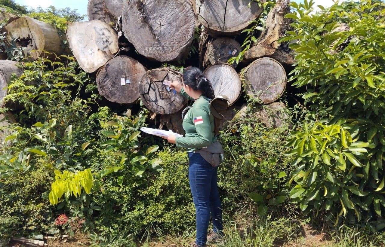 Portaria do Ipaam ajusta valores da reposição florestal
