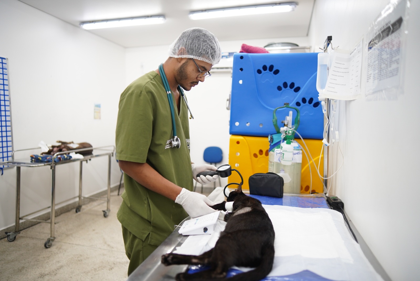 HPVet-AM alcança mais de 33 mil animais atendidos