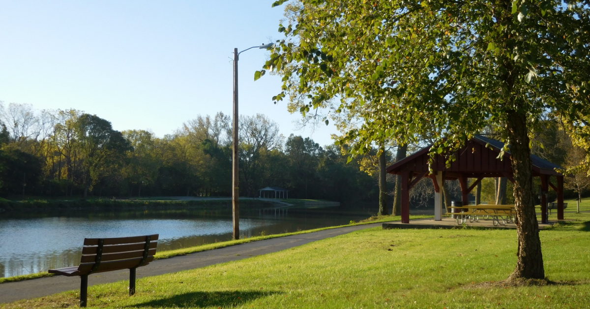 City of Marion Contact Information