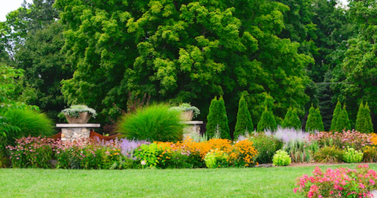 Butterfly Gardens at Matter Park