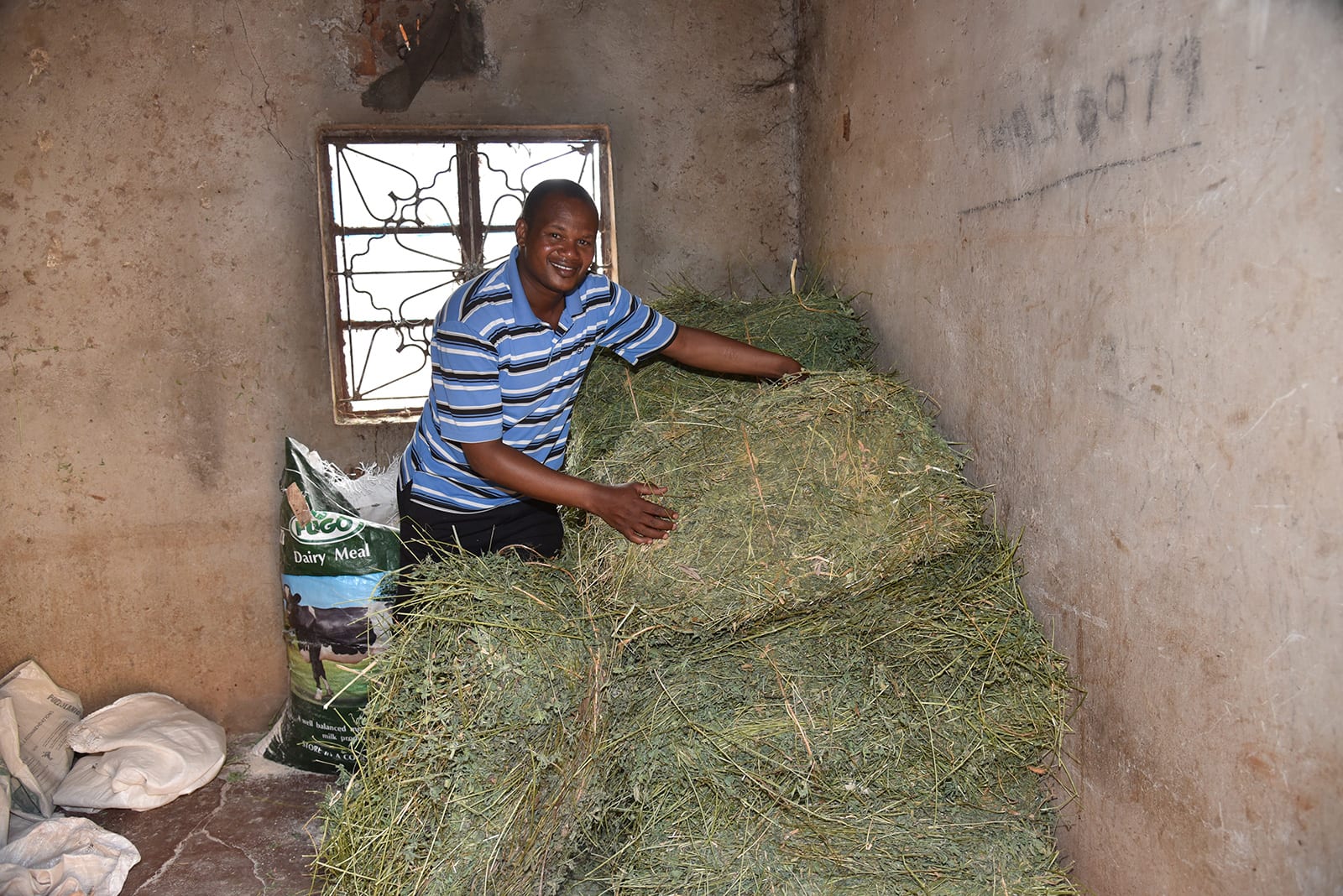 Reoccurring donation provide food for dairy farms in Kenya