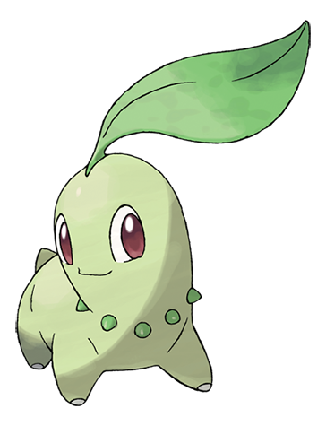 Chikorita