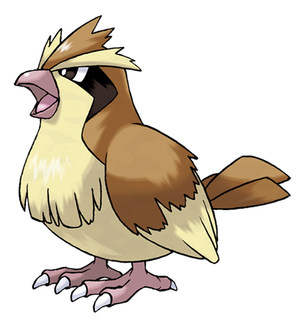 Pidgey