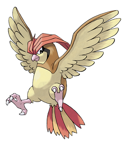 Pidgeotto