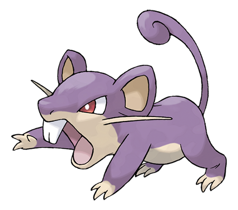 Rattata