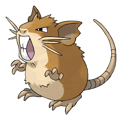 Raticate