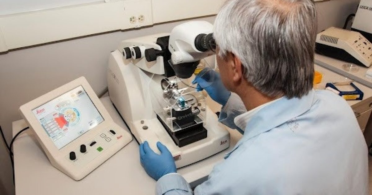 Medical Lab Assistant vs Phlebotomist What’s the Difference MedCerts