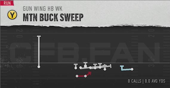 Mtn Buck Sweep - Gun Wing HB Wk - Texas - CFB 25