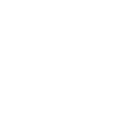 Silver - Adrenaline Ability - College Football 26