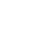 Pro Style