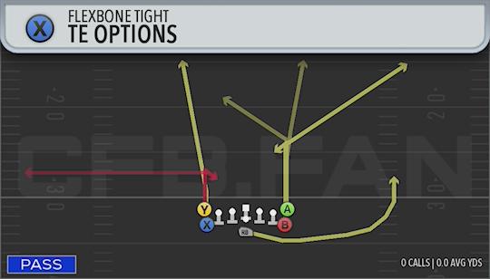 TE OPTIONS