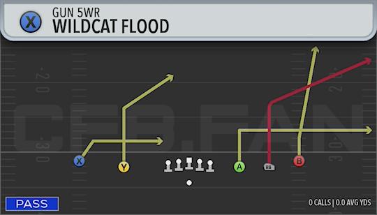 WILDCAT FLOOD