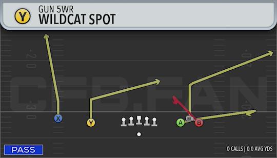 WILDCAT SPOT