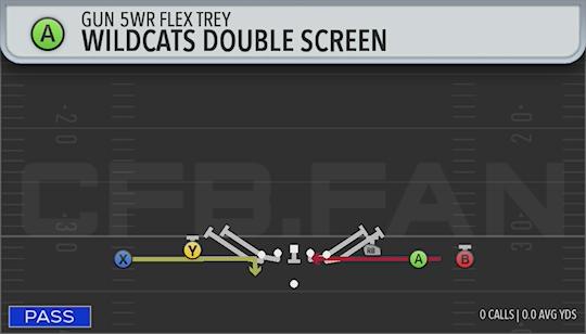 WILDCATS DOUBLE SCREEN