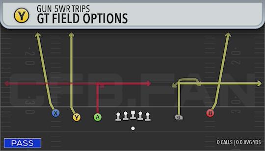 GT FIELD OPTIONS