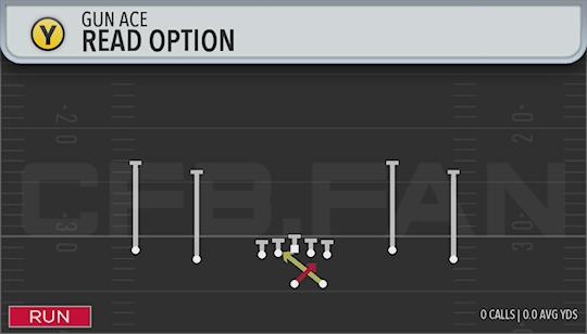 READ OPTION