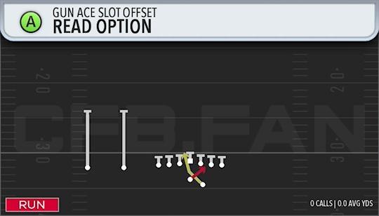 READ OPTION