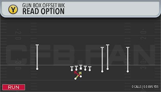 READ OPTION