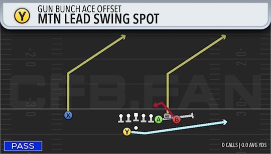 MTN LEAD SWING SPOT