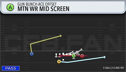 MTN WR MID SCREEN