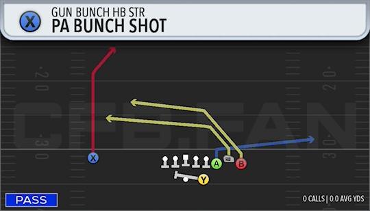 PA BUNCH SHOT