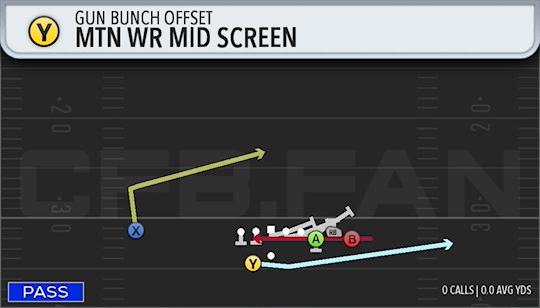 MTN WR MID SCREEN
