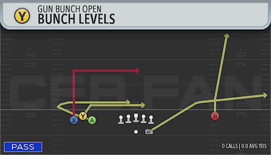 BUNCH LEVELS