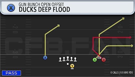 DUCKS DEEP FLOOD