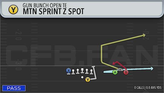 MTN SPRINT Z SPOT