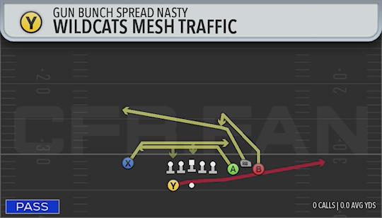 WILDCATS MESH TRAFFIC