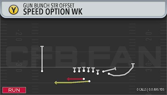 SPEED OPTION WK