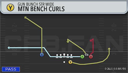 MTN BENCH CURLS