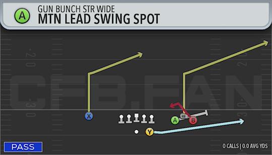 MTN LEAD SWING SPOT