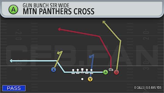 MTN PANTHERS CROSS