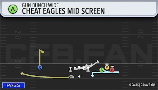 CHEAT EAGLES MID SCREEN