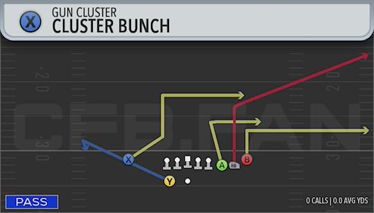 CLUSTER BUNCH