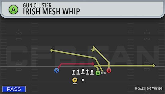 IRISH MESH WHIP