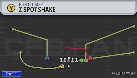 Z SPOT SHAKE